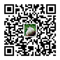 除塵設備_脫硝脫硫設備_污水處理_煙氣粉塵治理_唐山鉑銳環(huán)?？萍加邢薰?/></div>
      <!--二維碼結束-->
      <div   id=